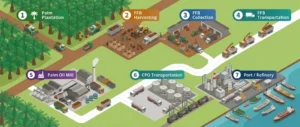 palm-oil-logistics-solutions-01