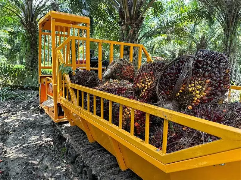 palm-oil-tracked-transport-vehicle-06